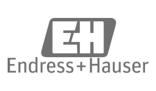 Endress + Hauser